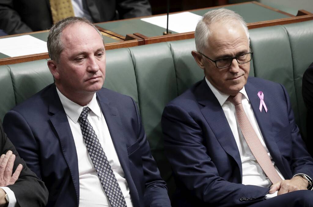 Barnaby Joyce's depiction of the voice as a "third chamber" was adopted by others, including Malcolm Turnbull. Picture: Alex Ellinghausen