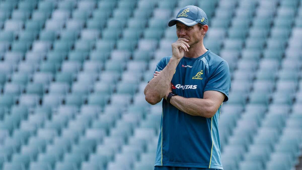 Stephen Larkham says the Wallabies will have a chance of winning the World Cup. Picture: Brook Mitchell