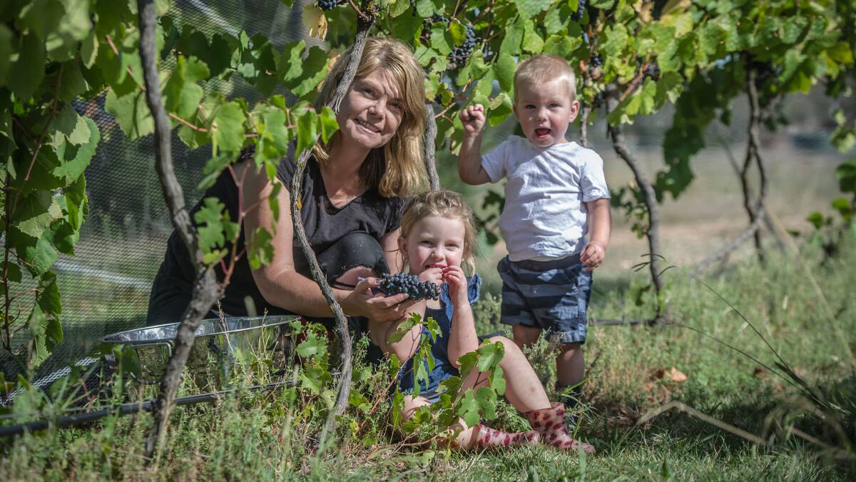 Sarah McDougall, here with her children Eloise and Ryley, has been nominated for a national Women in Wine award. Picture: Karleen Minney