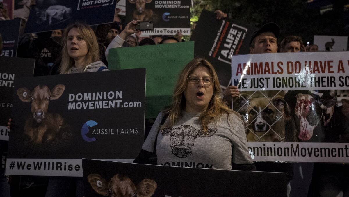 Animal rights supporters protest against abuse and cruelty in Australian farming. Picture: Chris Hopkins