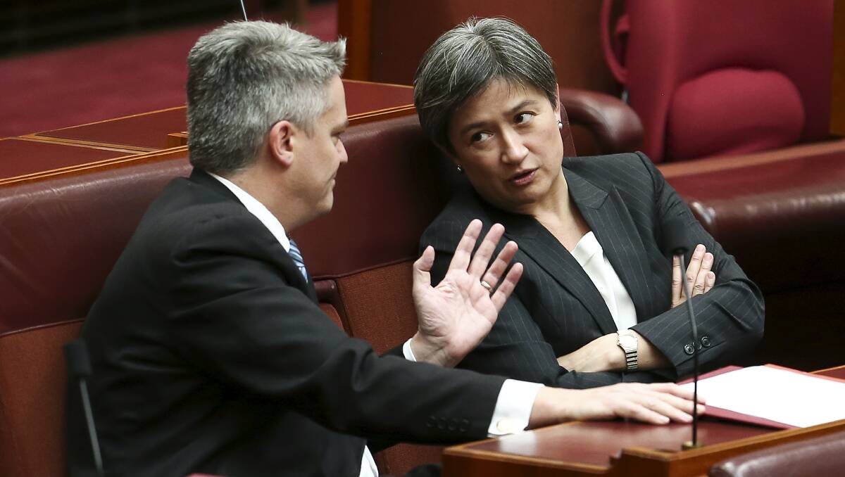 Finance Minister Mathias Cormann and Labor Senator Penny Wong. Picture: Alex Ellinghausen