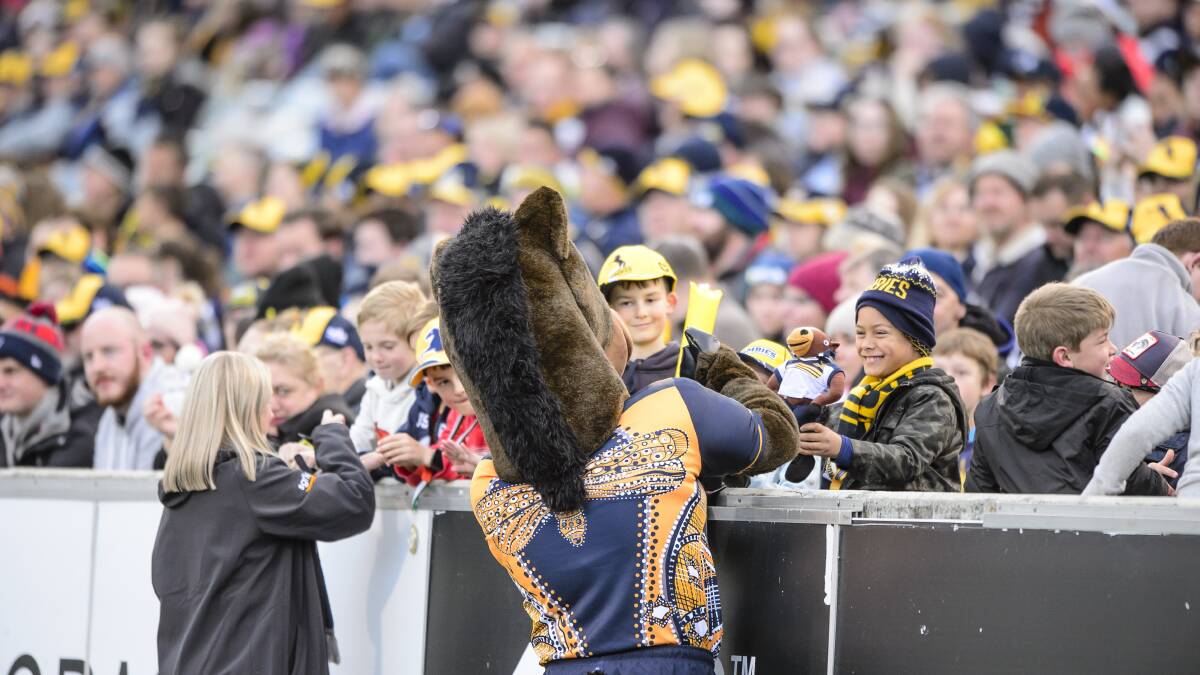 There'd be plenty of horsing around at a potentially packed Canberra Stadium. Photo: Sitthixay Ditthavong