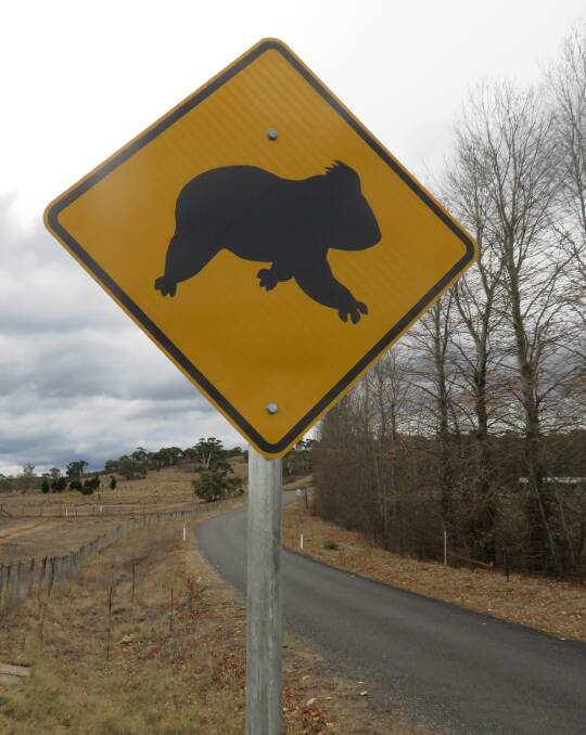 Koala crossing signs have been installed between Canberra and Cooma. Picture: James Fitzgerald
