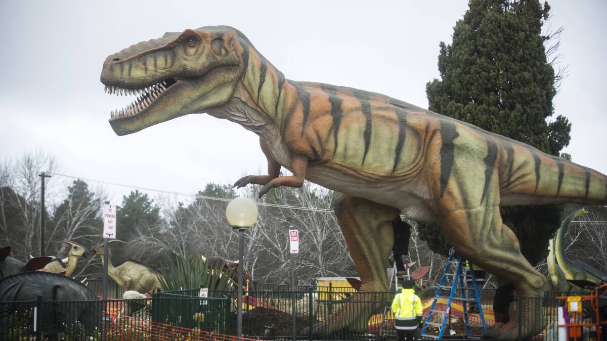 Check out the dinosaurs at the botanic gardens and National Dinosaur Museum. Picture: Dion Georgopoulos