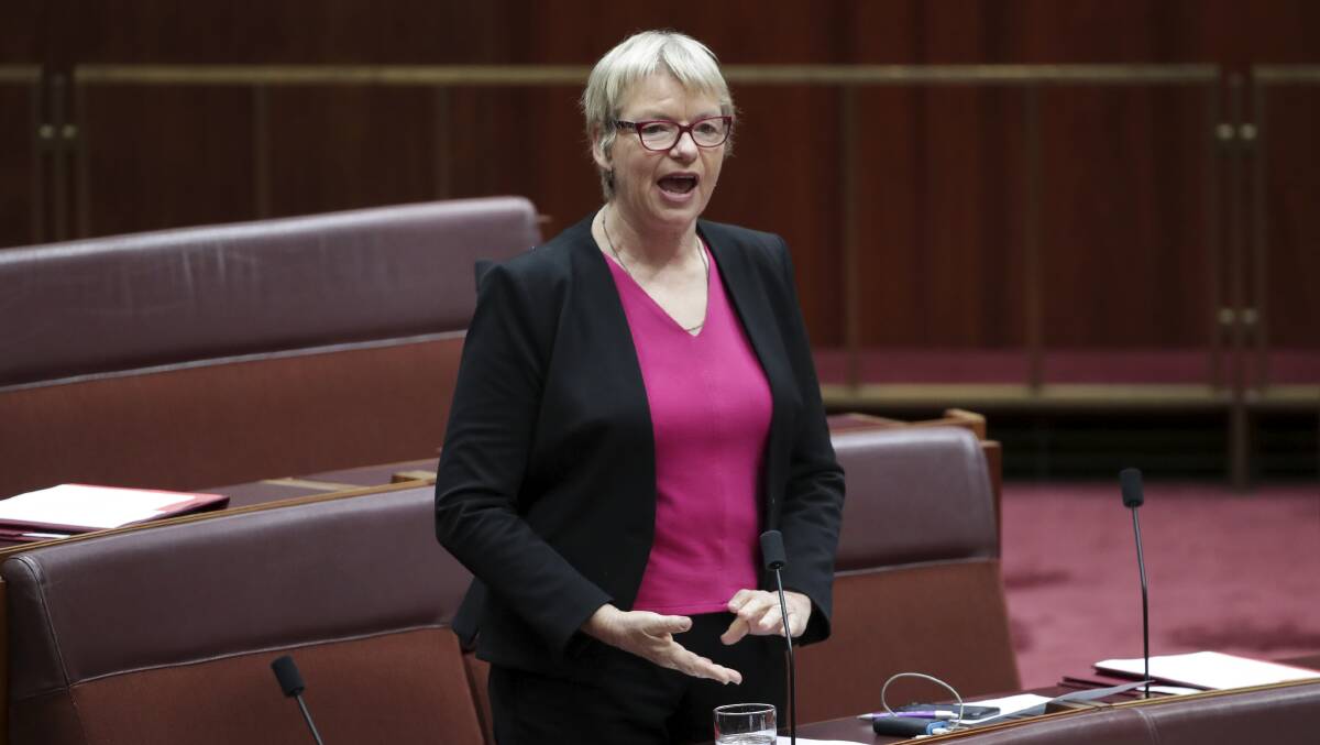Greens senator Janet Rice questioned how the department managed the conflict of interest. Photo: Alex Ellinghausen