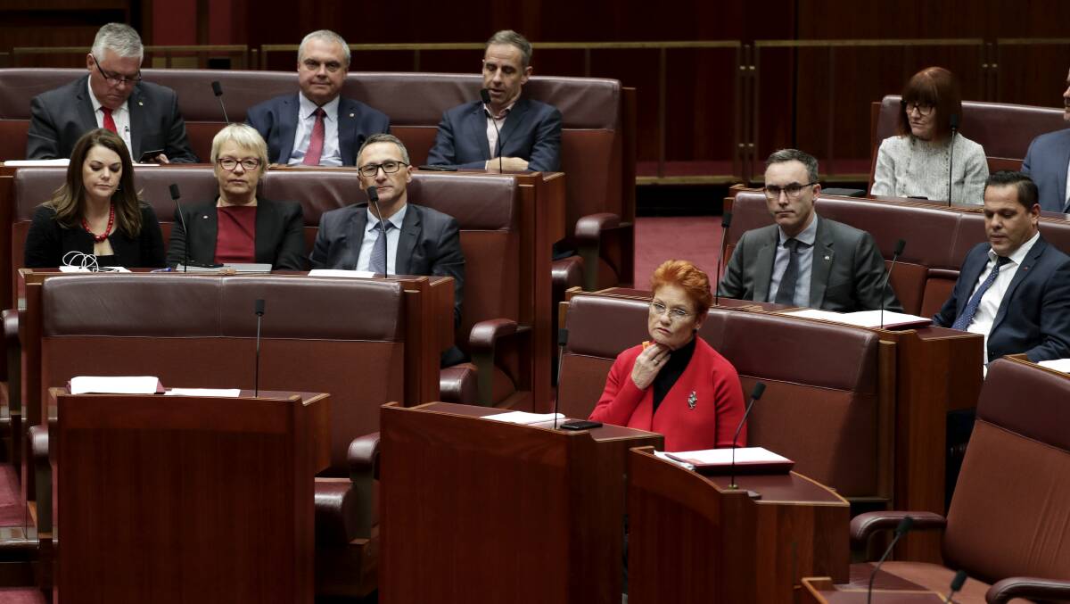 Senator Pauline Hanson, front row, and the Greens, left, during debate in the Senate last year. Picture: Alex Ellinghausen