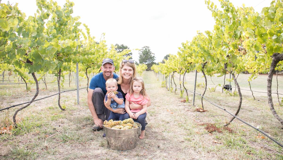 Sarah and Anthony McDougall at Lake George Winery. Picture: Supplied