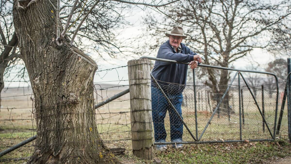 Tom Allen on his farm at Symonston. Picture: Karleen Minney.