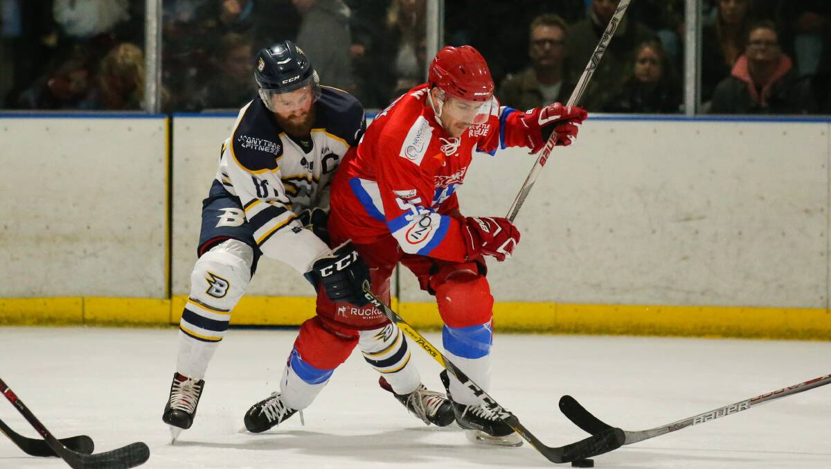 Canberra Brave skipper Matt Harvey 'definitely has no regrets' since making the move to the AIHL. Picture: Max Mason-Hubers