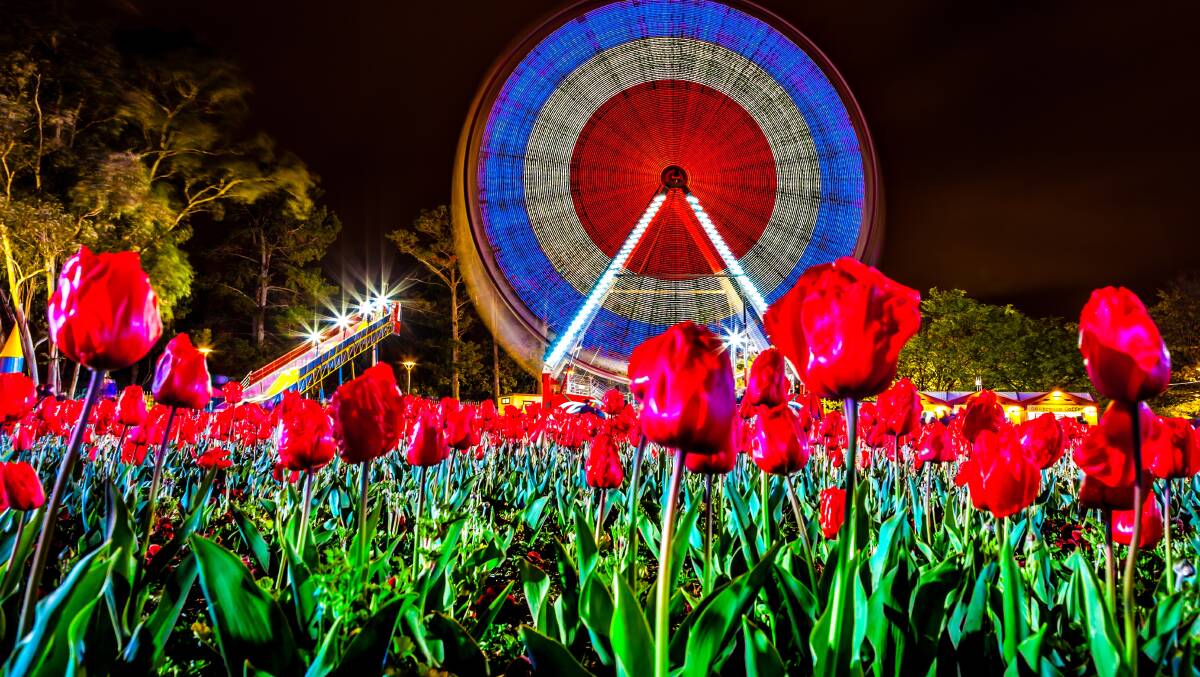Floriade NightFest is a festival of flowers and light