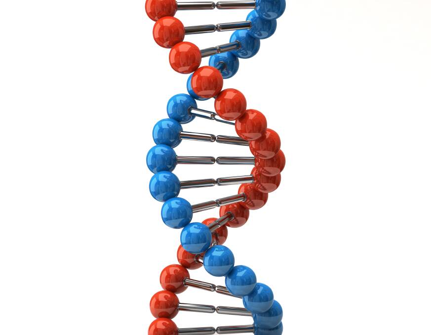 DNA, often visualised as a double helix, contains billions of lines of "code", which once required massive super computers to analyse. Picture: Shutterstock
