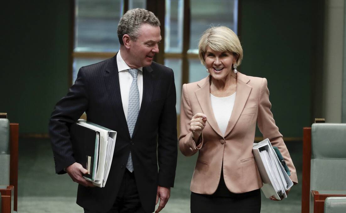 The average person in the average pub is aghast at the shamelessness of Christopher Pyne and Julie Bishop. Picture: Alex Ellinghausen