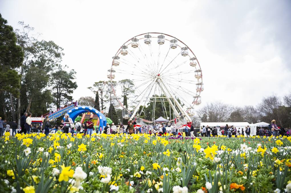Floriade is back for another year. Picture: Dion Georgopoulos
