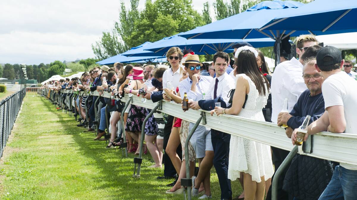 The crowd at Thoroughbred Park for Melbourne Cup Day was about the same as last year. Picture: Dion Georgopoulos