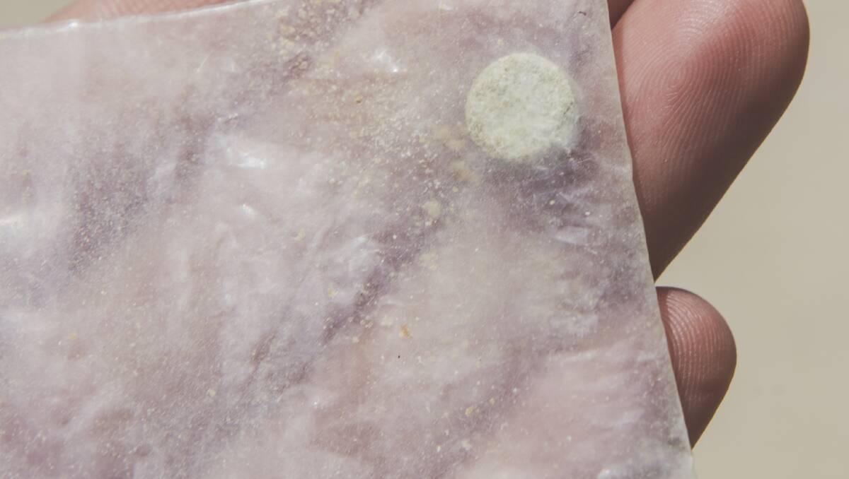 MDMA use in Canberra has increased, according to the latest wastewater monitoring report. Picture: Jamila Toderas