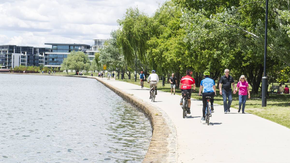 Most bike paths in Canberra are meandering scenic routes. Photo: Dion Georgopoulos