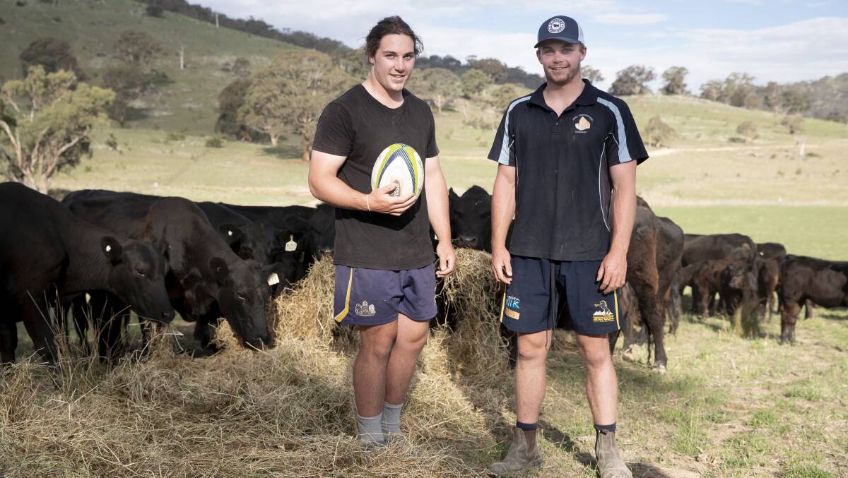 Brumbies brothers Lachlan and Ryan Lonergan spent countless hours playing football at their Williamsdale farm. Picture: Sitthixay Ditthavong