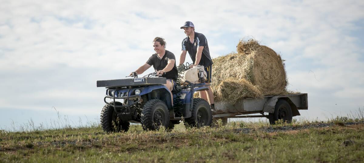 Ryan and Lachlan Lonergan at their Williamsdale farm. Picture: Sitthixay Ditthavong