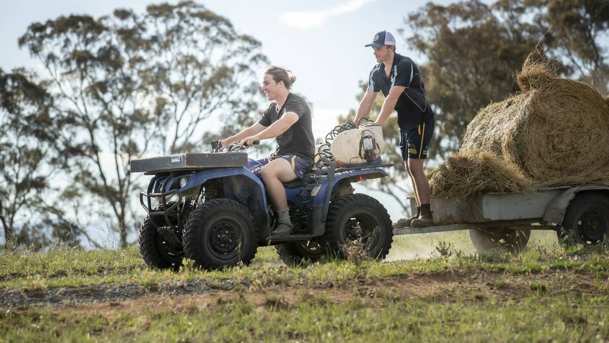 Brumbies brothers Lachlan and Ryan Lonergan at their Williamsdale farm. Picture: Sitthixay Ditthavong