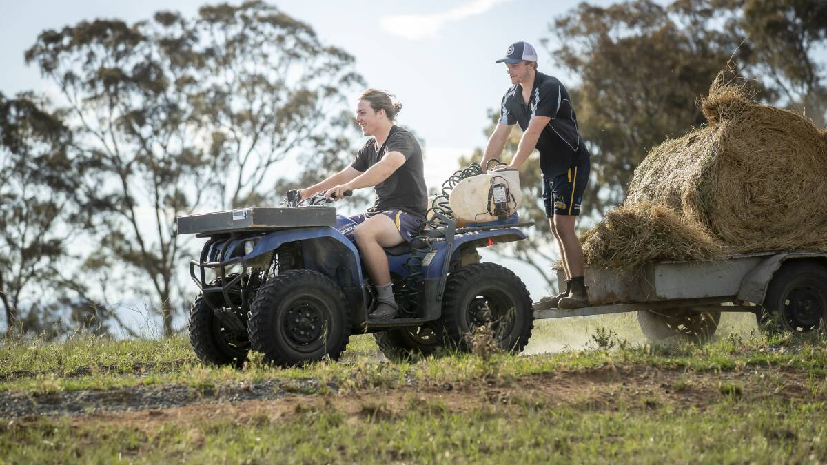 Brumbies brothers Lachlan and Ryan Lonergan at their Williamsdale farm. Photo: Sitthixay Ditthavong