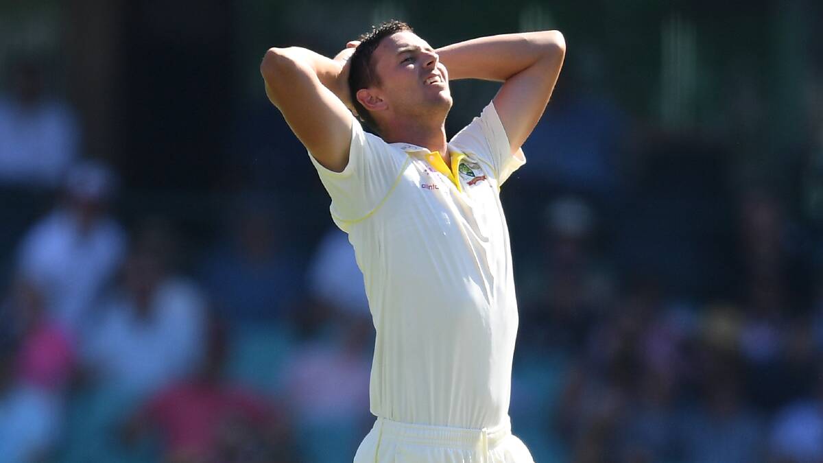 Josh Hazlewood was left out of Australia's World Cup squad. Picture: AAP