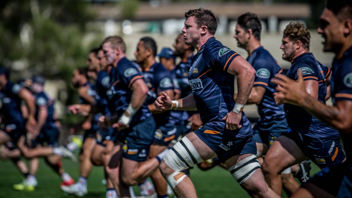 Murray DOuglas and the Brumbies are running into the second leg of a tough road trip.. Photo: Karleen Minney.