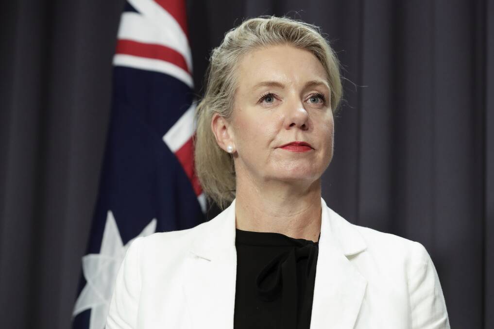 Decentralisation Minister Bridget McKenzie used the federal budget to announce more public servants would be relocated. 