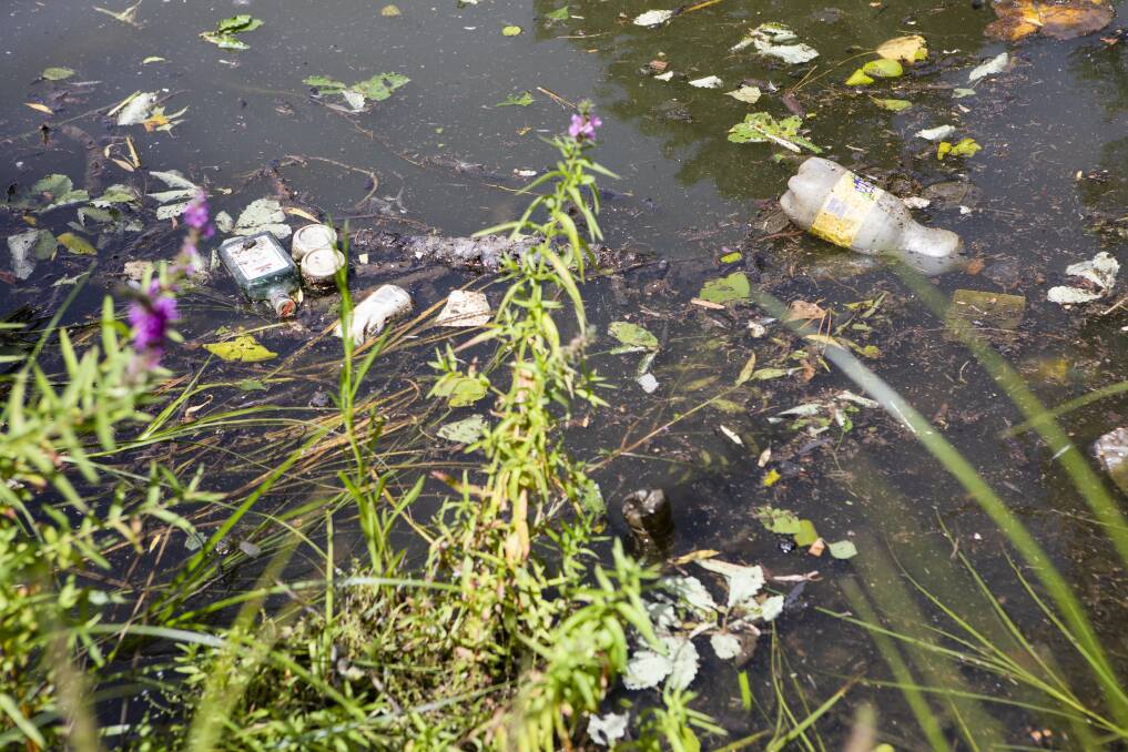 Rubbish in Lake Burley Griffin. Picture: Jamila Toderas