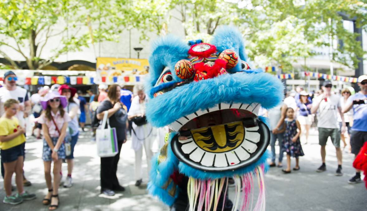 The National Multicultural Festival returns for another year. Picture: Dion Georgopoulos