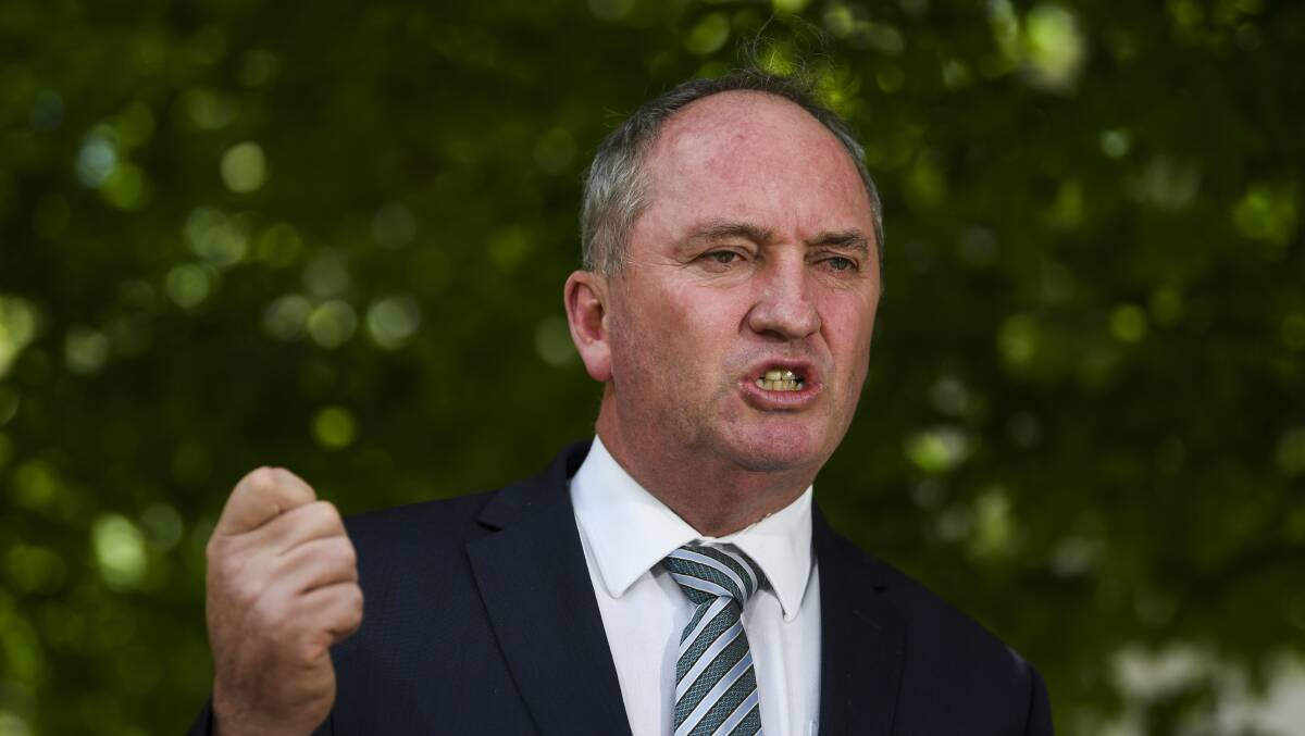 Barnaby Joyce says Newstart is one of his three big issues for the term. Picture: AAP
