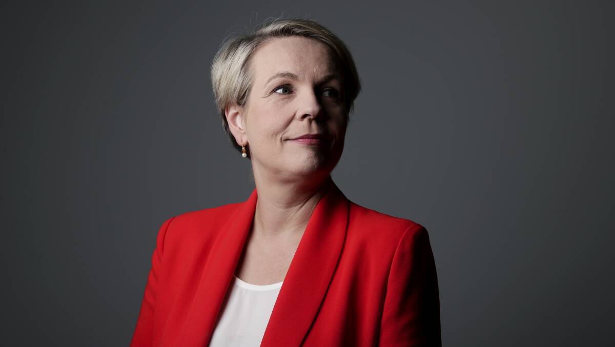 Tanya Plibersek has been in Parliament for more than 20 years and was Labor's Labor's deputy leader for six years. Picture: Alex Ellinghausen