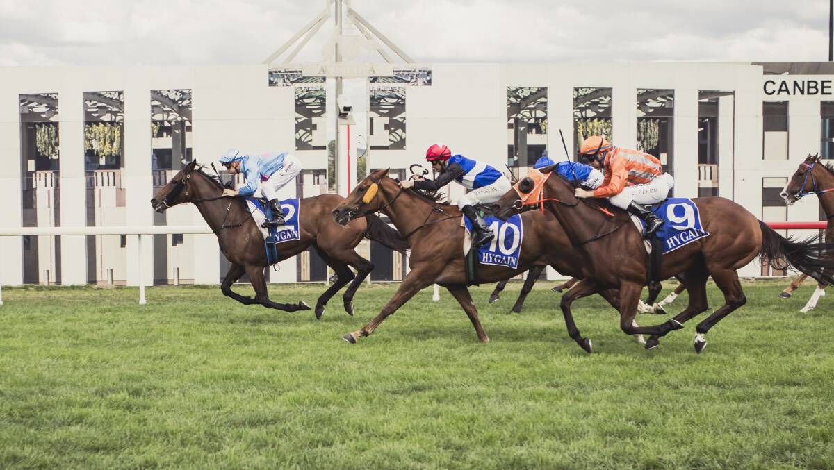 Black Opal Stakes Day at Thoroughbred Park. Picture: Jamila Toderas