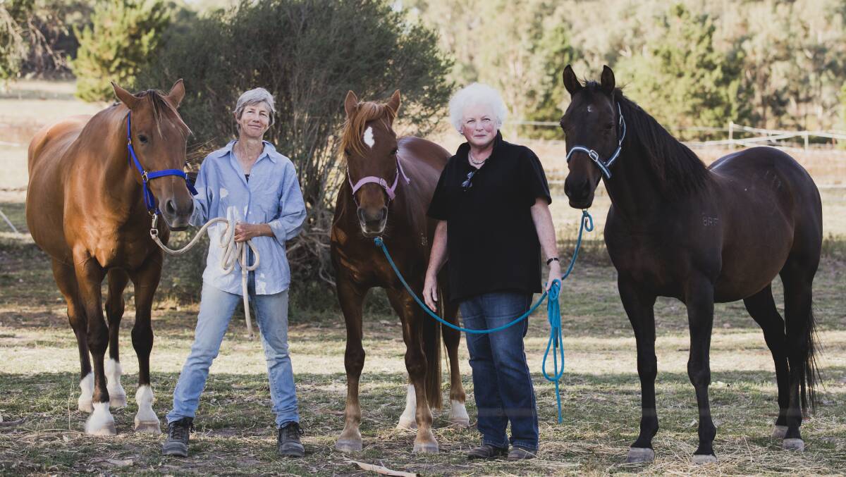 The ACT Equestrian Association is concerned household delivery drones could threaten the future of the recreation in Canberra. ACT Endurance Riders Association secretary Maxine McArthur (left) with ACT Equestrian Association president Christine Lawrence. Photo: Jamila Toderas