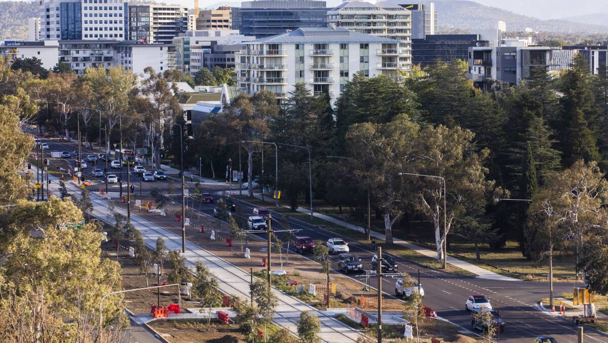 Changes to the territory plan could set out a vision for Northbourne Avenue. Picture: Jamila Toderas