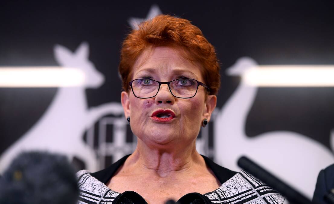 Persistent support for populist Pauline Hanson coincides with growing distrust of public institutions. Picture: Dan Peled