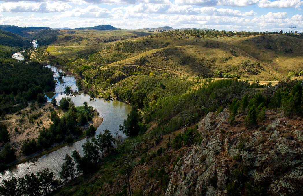 A view of the Murrumbidgee River with the farmland set to be the future site of Ginninderry to the right. Photo: Elesa Kurtz