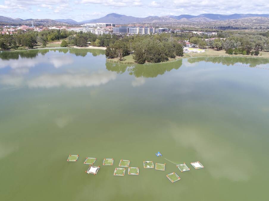 The University of Canberra used "mesocosms", pictured on March 21, 2019, to test potential blue-green algae solutions in Lake Tuggeranong. The most promising solution only knocked the algae back for a few days. Picture: Alica Tschierschke, University of Canberra