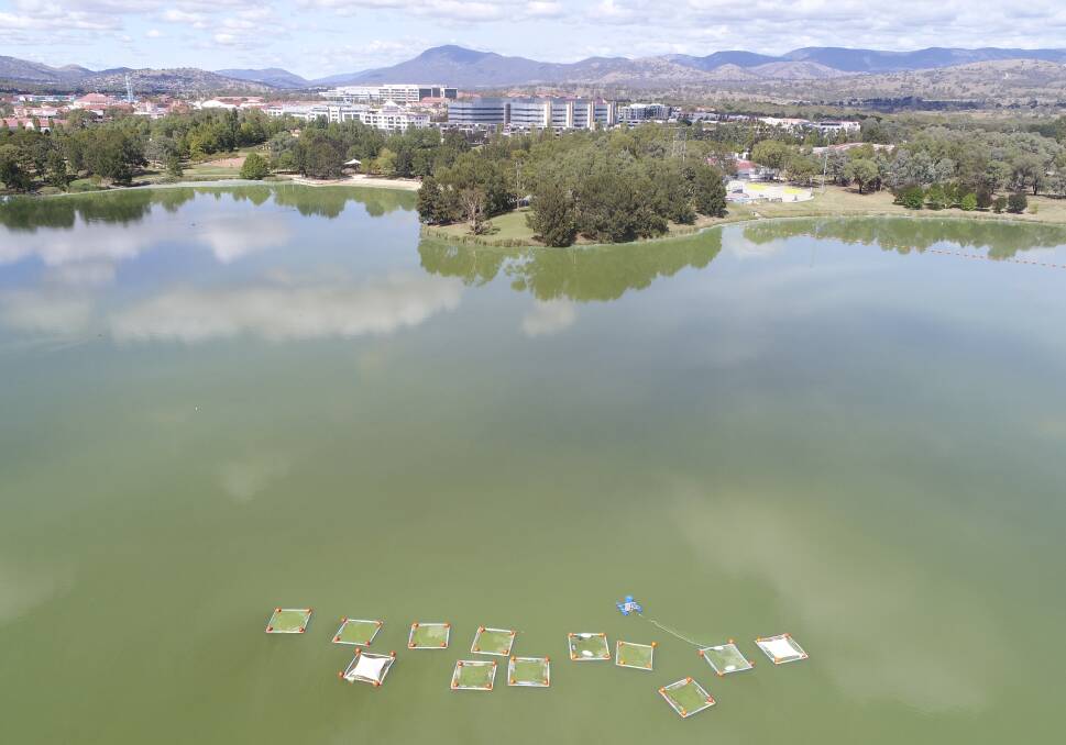 Drone images of "mesocosms" in Lake Tuggeranong, which are being used to test different chemical solutions against blue-green algae. Photo: Alica Tschierschke, University of Canberra