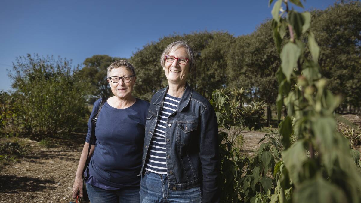Meg Clark and Alison Stewart from Lyneham Commons are frustrated with the bureaucratic hurdles they've faced in setting up a community garden. Photo: Sitthixay Ditthavong