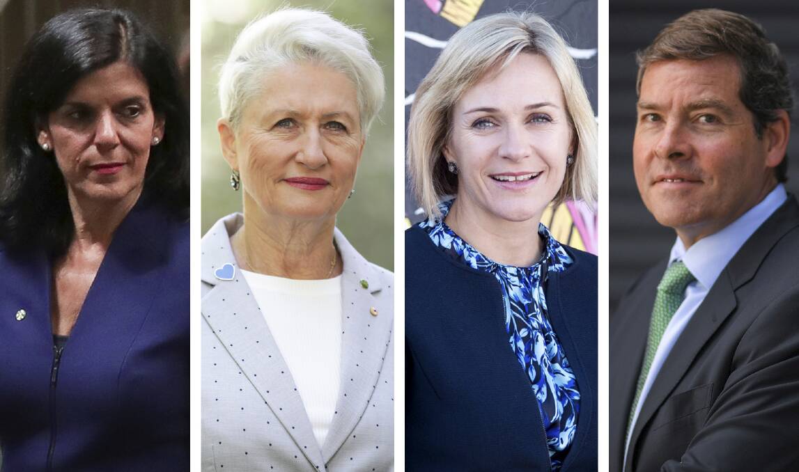 Julia Banks, Kerryn Phelps, Zali Steggall and Oliver Yates are running in the May 18 election as independents. Photos: Alex Ellinghausen, Edwina Pickles, Eddie Jim.