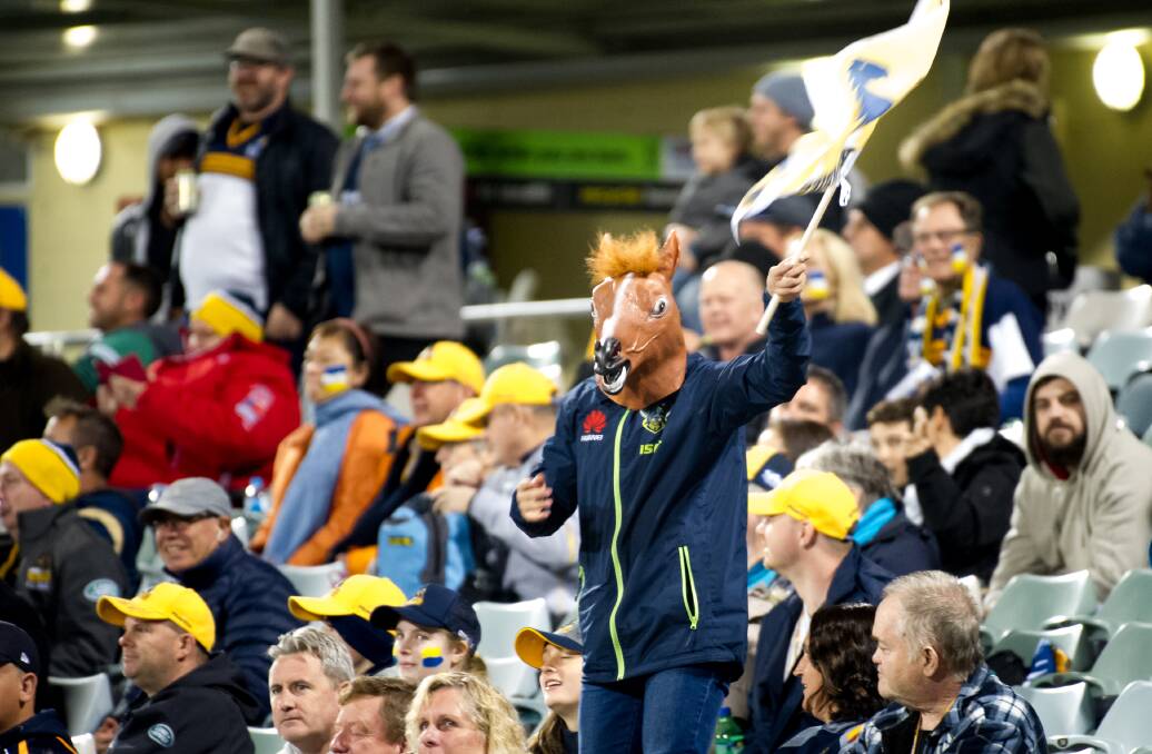 Horsing around: The Brumbies want to generate fan support. Picture: Elesa Kurtz