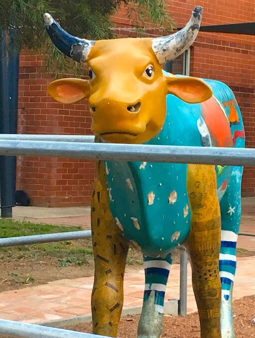 Do you know the location of this colourful bovine? Tim the Yowie Man
