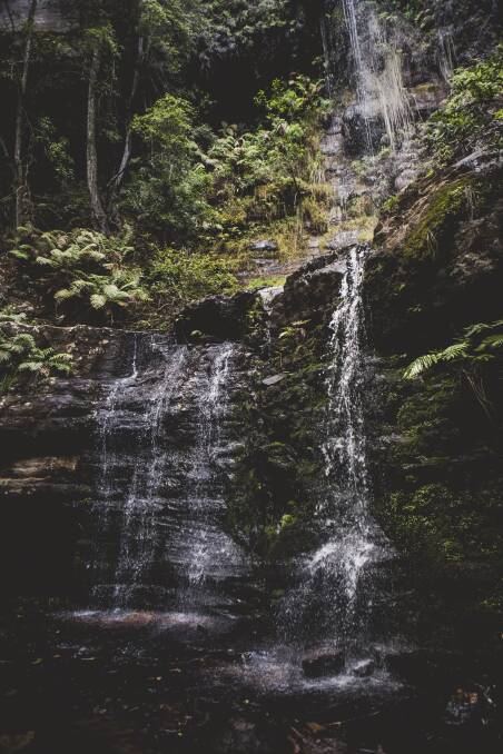 A waterfall on the Fairy Bower Falls walk in Morton National Park. Picture: Jamila Toderas