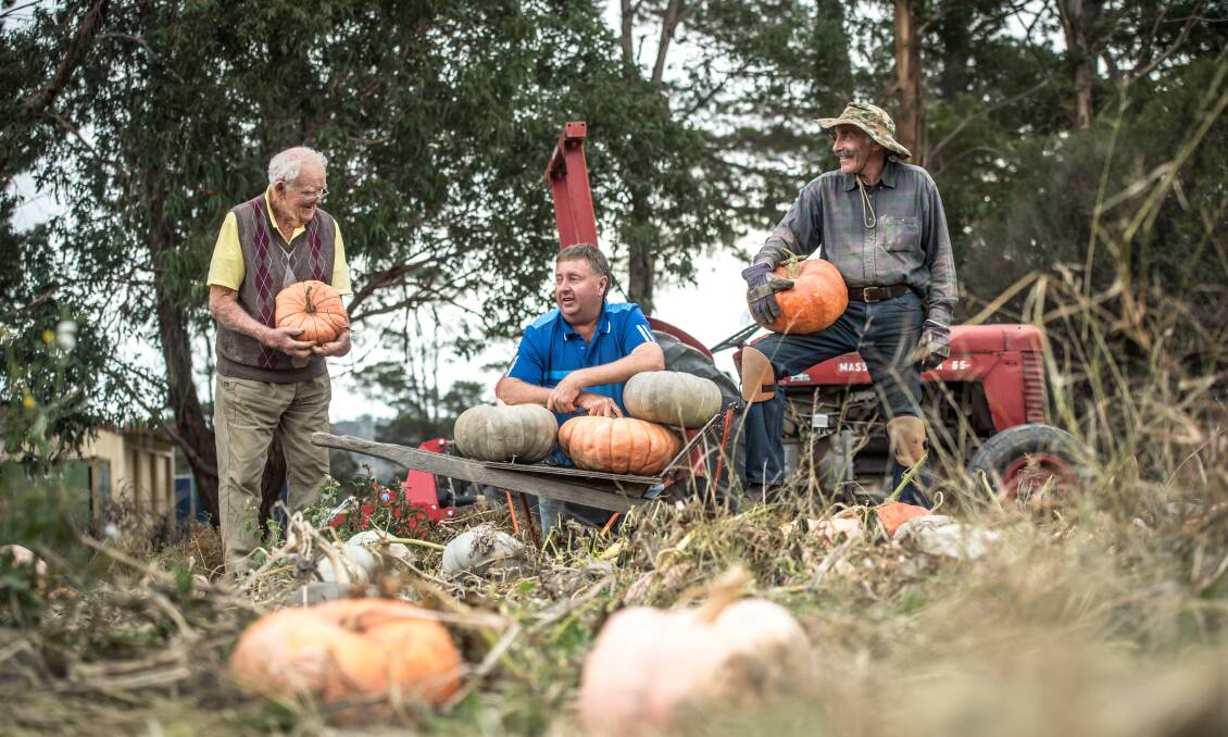 Ninety-one-year-old Ted Berkitt (left) grows the pumpkins to make 300 litres of pumpkin soup for the Collector Village Pumpkin Festival. He's with coordinator Gary Poile (centre) and fellow volunteer Tony Jones. Picture: Karleen Minney