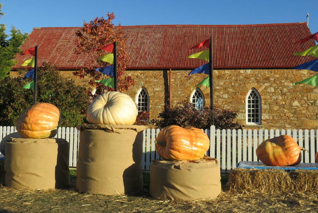 The Collector Village Pumpkin Festival is about good old-fashioned fun, including the Giant Pumpkin Competition.