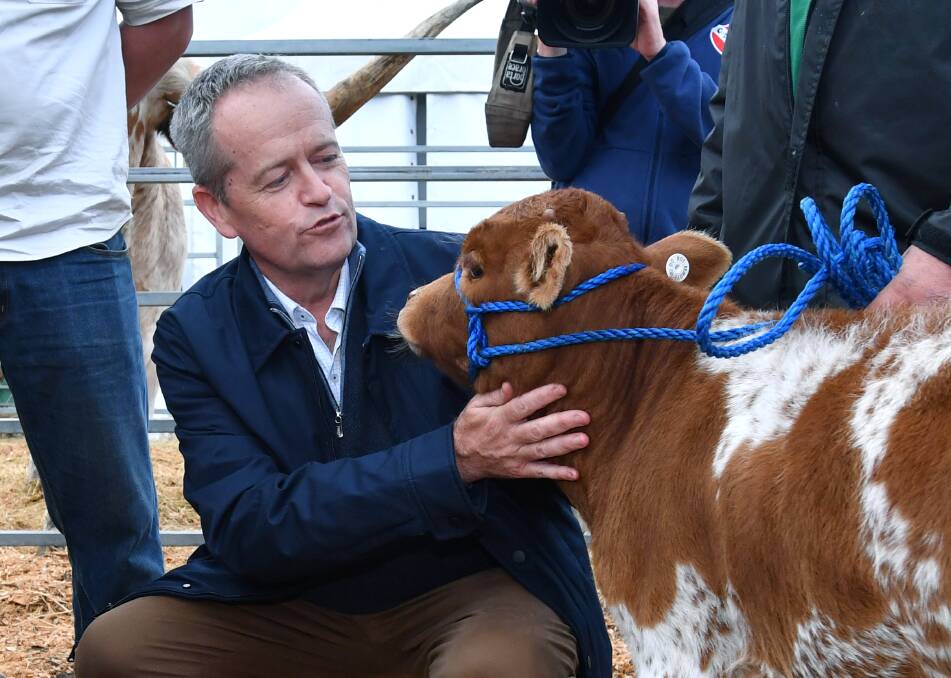 Opposition Leader Bill Shorten at Agfest in Tasmania this week. Picture: AAP