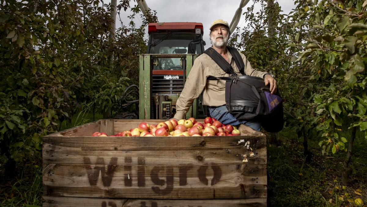Ralph Wilson, owner of Wilgro Orchards, Batlow. Picture: Sitthixay Ditthavong