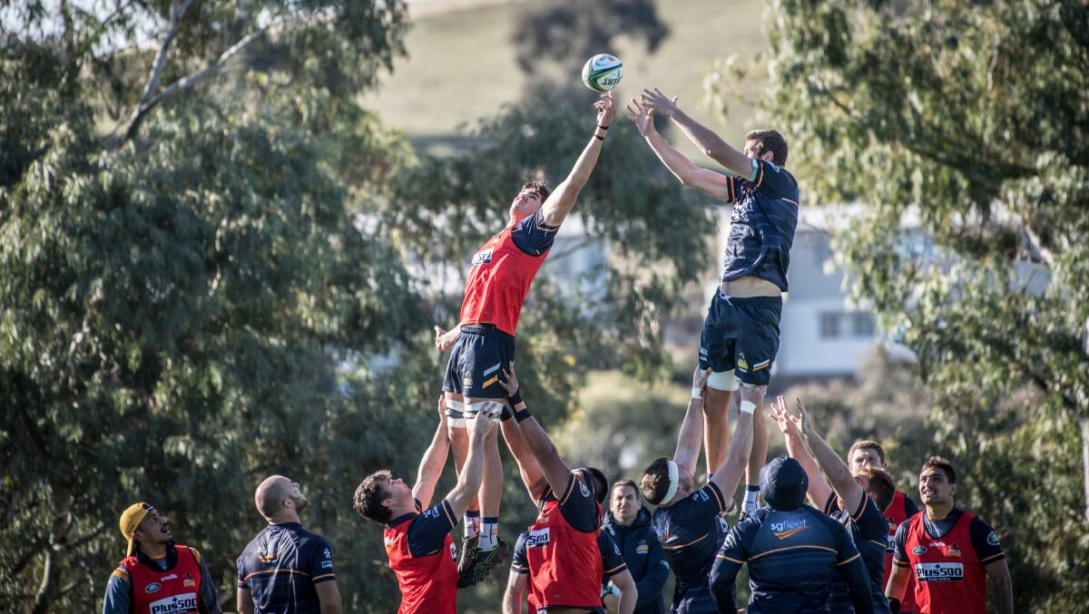 The Brumbies will play the Japan Sunwolves at Canberra Stadium on Sunday. Picture: Karleen Minney