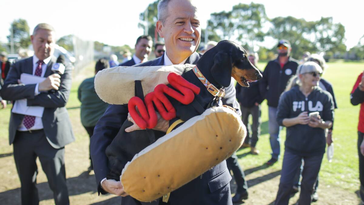 Bill Shorten meets Eva, the 'Democracy Sausage Dog', in Adelaide on Tuesday. Picture: Alex Ellinghausen