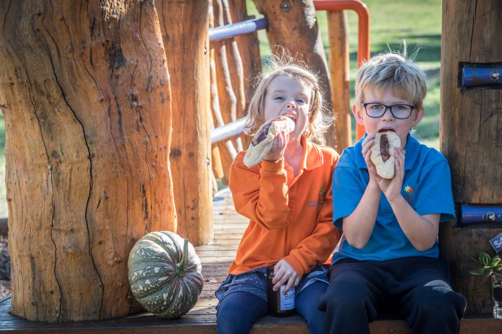 Maple Yeo and Lewis Haughan from Southern Cross Early Childhood School, where there will be more than just sausages available on election day. Picture: Karleen Minney.